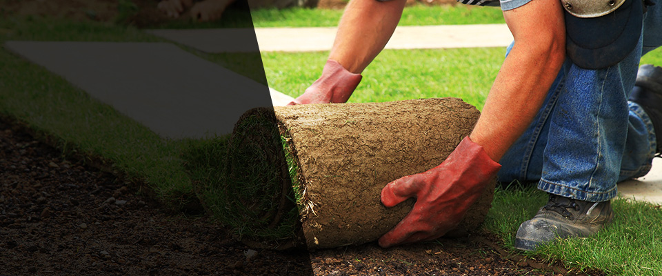 Kennett Square Landscapers